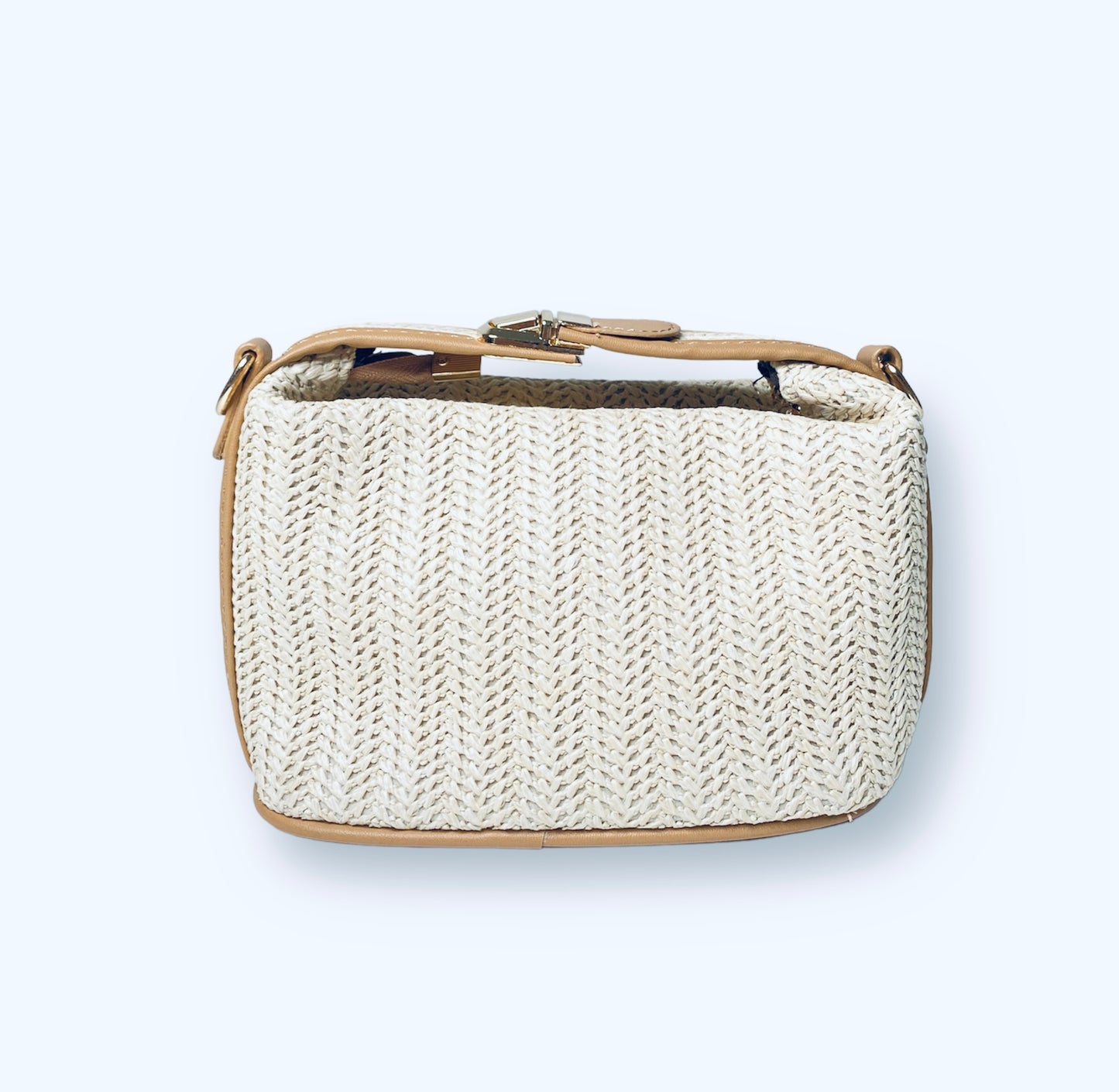 Cleo Mini Bag